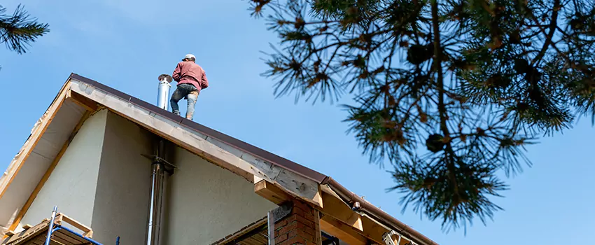 Birds Removal Contractors from Chimney in Aurora, IL